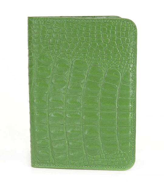 Обложка на паспорт Aurora Passport Case Ginger Queen, 137
