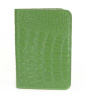 Обложка на паспорт Aurora Passport Case Ginger Queen, 137